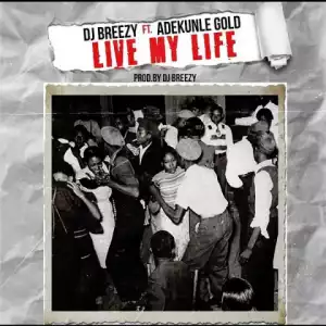 DJ Breezy - Live My Life Ft. Adekunle Gold